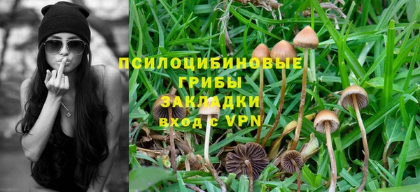индика Красноперекопск
