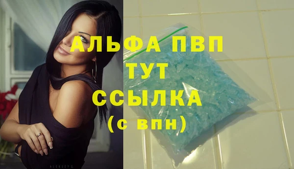 стаф Краснослободск