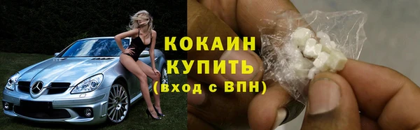 индика Красноперекопск