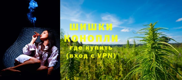 индика Красноперекопск